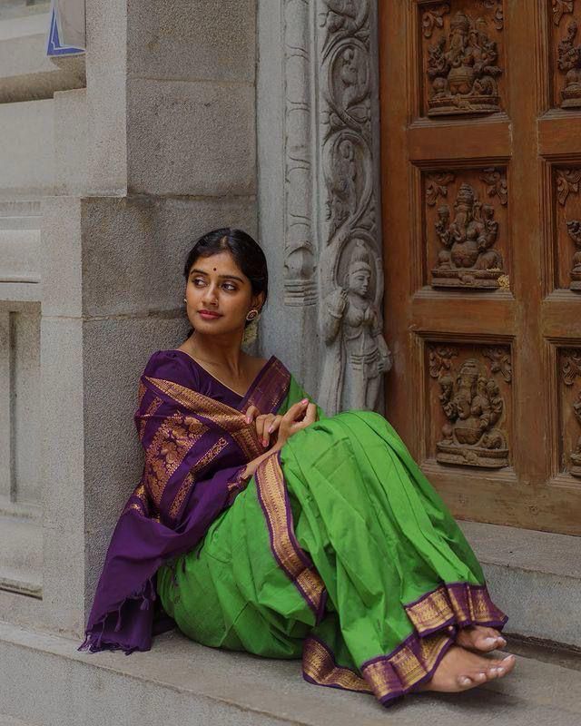Purple & Green Rich Pallu Lichi Silk Saree