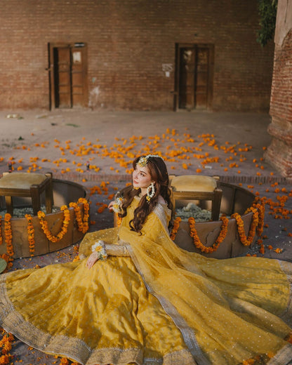 Filmy Fabulous Chinon Silk Embroidered Gown Set